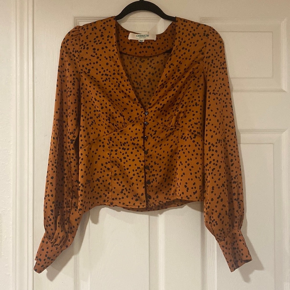 Cute dressy top - perfect for a holiday party or date night!